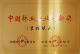 中国林产工业协会装饰纸专业金奖